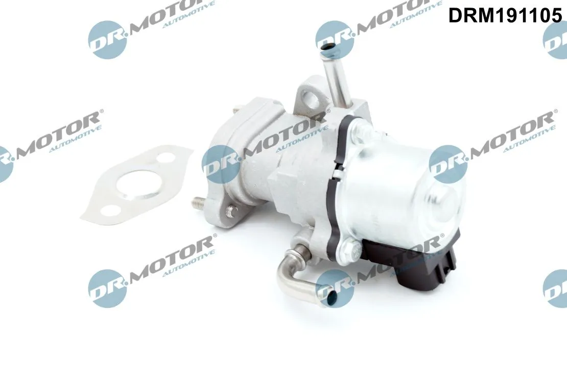 EGR Valve